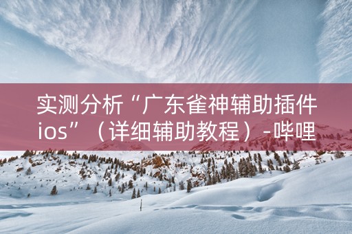 实测分析“广东雀神辅助插件ios”（详细辅助教程）-哔哩哔哩