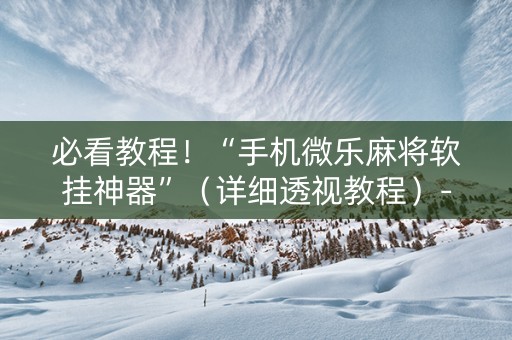 必看教程！“手机微乐麻将软挂神器”（详细透视教程）-哔哩哔哩