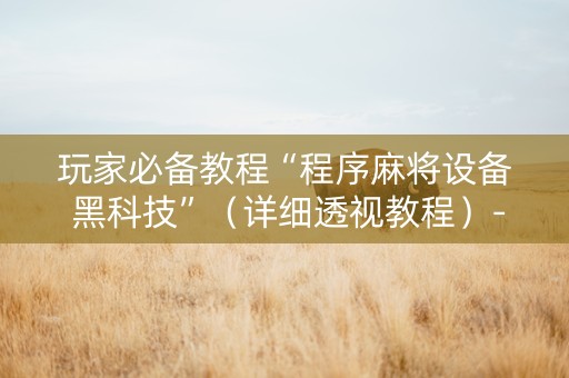 玩家必备教程“程序麻将设备 黑科技”（详细透视教程）-哔哩哔哩