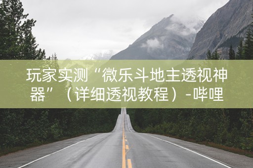 玩家实测“微乐斗地主透视神器”（详细透视教程）-哔哩哔哩