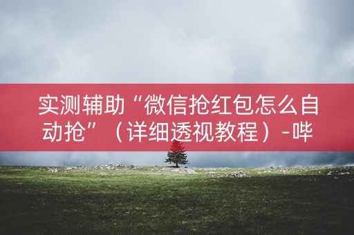 实测辅助“微信抢红包怎么自动抢”（详细透视教程）-哔哩哔哩