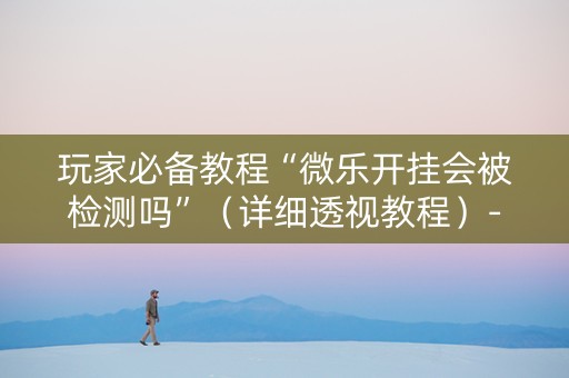玩家必备教程“微乐开挂会被检测吗”（详细透视教程）-哔哩哔哩