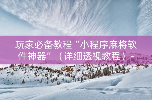 玩家必备教程“小程序麻将软件神器”（详细透视教程）-哔哩哔哩