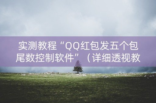 实测教程“QQ红包发五个包尾数控制软件”（详细透视教程）-哔哩哔哩