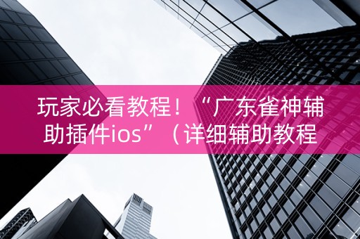 玩家必看教程！“广东雀神辅助插件ios”（详细辅助教程）-哔哩哔哩