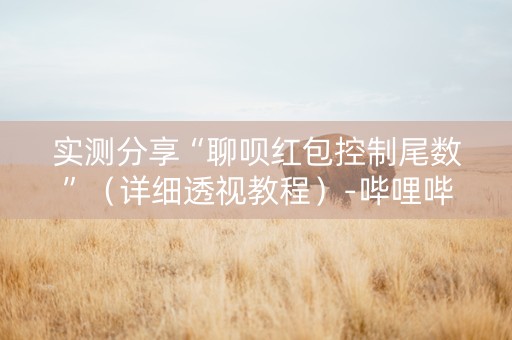 实测分享“聊呗红包控制尾数”（详细透视教程）-哔哩哔哩