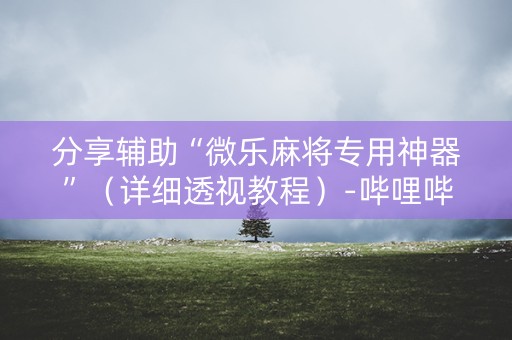 分享辅助“微乐麻将专用神器”（详细透视教程）-哔哩哔哩