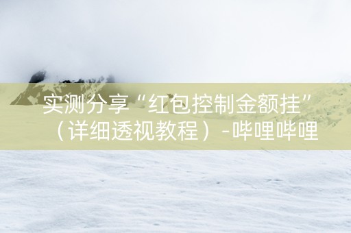 实测分享“红包控制金额挂”（详细透视教程）-哔哩哔哩