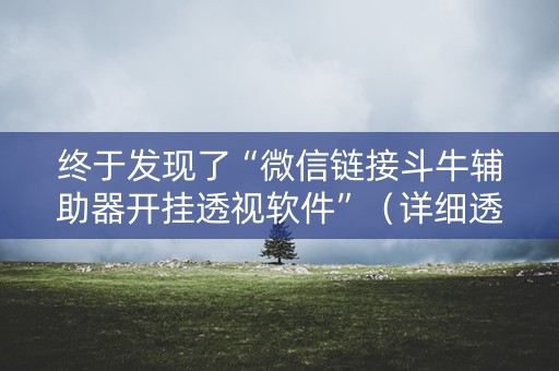 终于发现了“微信链接斗牛辅助器开挂透视软件”（详细透视教程）-哔哩哔哩