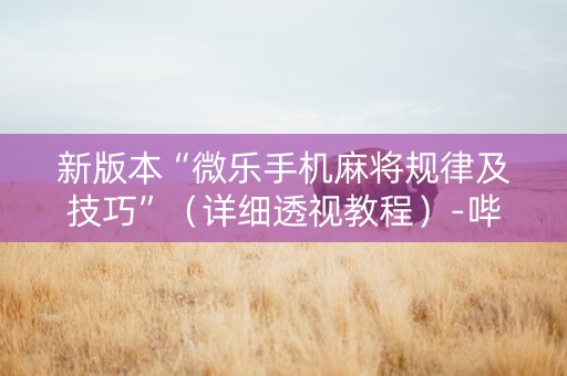 新版本“微乐手机麻将规律及技巧”（详细透视教程）-哔哩哔哩