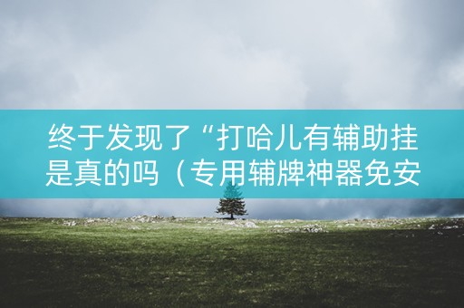 终于发现了“打哈儿有辅助挂是真的吗（专用辅牌神器免安装）