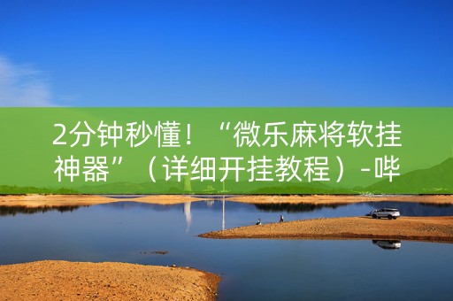 2分钟秒懂！“微乐麻将软挂神器”（详细开挂教程）-哔哩哔哩