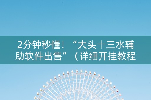 2分钟秒懂！“大头十三水辅助软件出售”（详细开挂教程）-哔哩哔哩