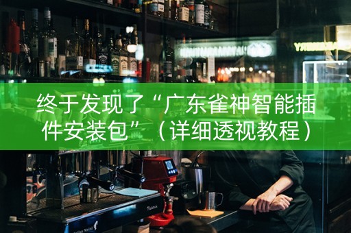 终于发现了“广东雀神智能插件安装包”（详细透视教程）-哔哩哔哩