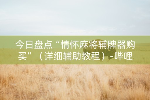 今日盘点“情怀麻将辅牌器购买”（详细辅助教程）-哔哩哔哩