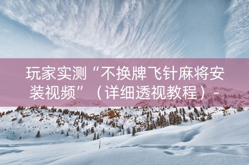 玩家实测“不换牌飞针麻将安装视频”（详细透视教程）-哔哩哔哩