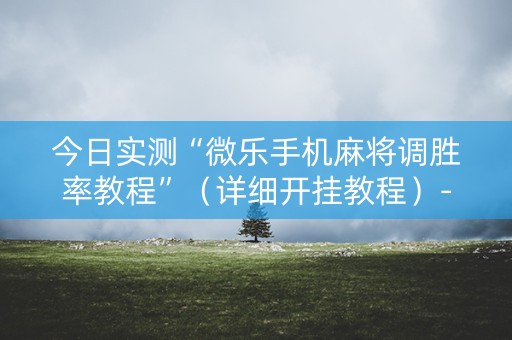 今日实测“微乐手机麻将调胜率教程”（详细开挂教程）-哔哩哔哩