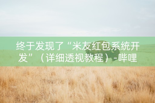 终于发现了“米友红包系统开发”（详细透视教程）-哔哩哔哩