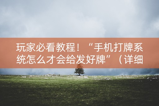 玩家必看教程！“手机打牌系统怎么才会给发好牌”（详细辅助教程）-哔哩哔哩