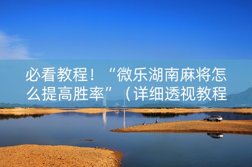 必看教程！“微乐湖南麻将怎么提高胜率”（详细透视教程）-哔哩哔哩