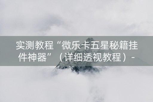 实测教程“微乐卡五星秘籍挂件神器”（详细透视教程）-哔哩哔哩