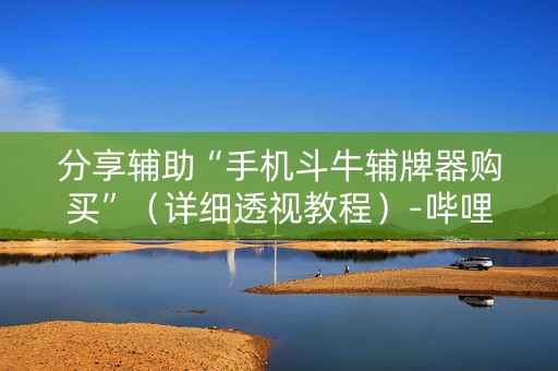 分享辅助“手机斗牛辅牌器购买”（详细透视教程）-哔哩哔哩