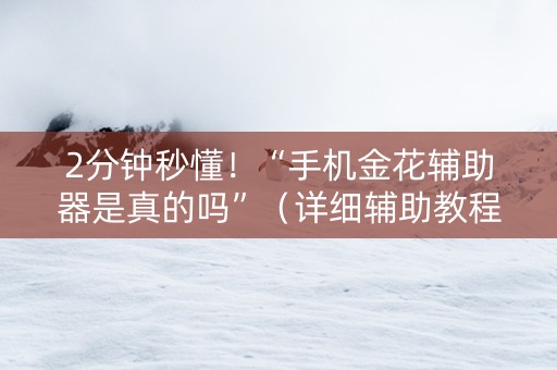 2分钟秒懂！“手机金花辅助器是真的吗”（详细辅助教程）-哔哩哔哩