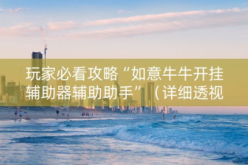 玩家必看攻略“如意牛牛开挂辅助器辅助助手”（详细透视教程）-哔哩哔哩