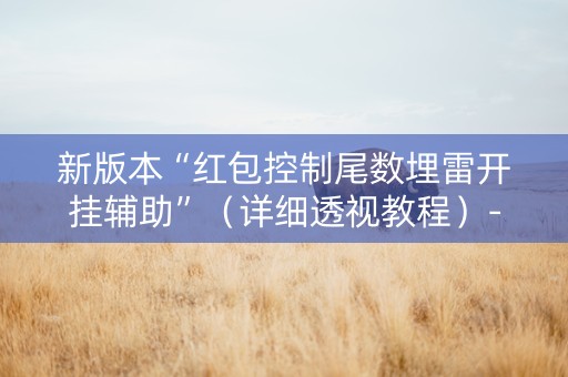新版本“红包控制尾数埋雷开挂辅助”（详细透视教程）-哔哩哔哩