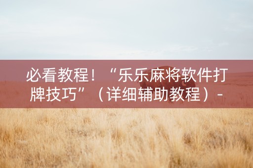 必看教程！“乐乐麻将软件打牌技巧”（详细辅助教程）-哔哩哔哩
