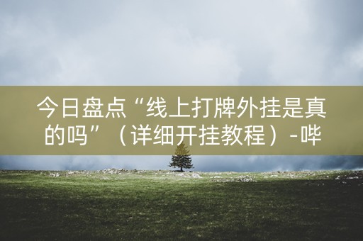 今日盘点“线上打牌外挂是真的吗”（详细开挂教程）-哔哩哔哩