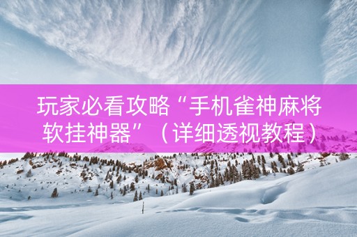 玩家必看攻略“手机雀神麻将软挂神器”（详细透视教程）-哔哩哔哩