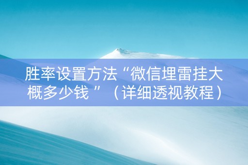 胜率设置方法“微信埋雷挂大概多少钱 ”（详细透视教程）-哔哩哔哩
