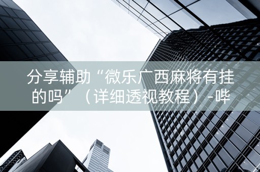 分享辅助“微乐广西麻将有挂的吗”（详细透视教程）-哔哩哔哩