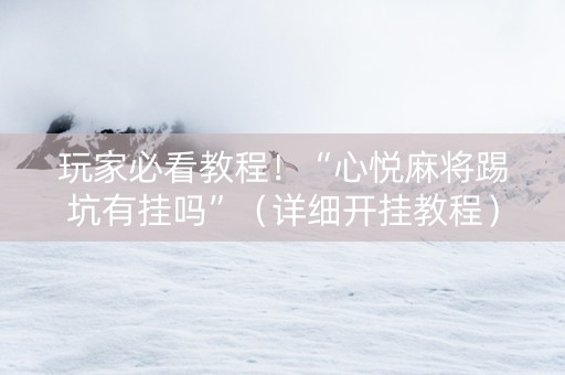 玩家必看教程！“心悦麻将踢坑有挂吗”（详细开挂教程）-哔哩哔哩
