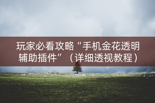 玩家必看攻略“手机金花透明辅助插件”（详细透视教程）-哔哩哔哩