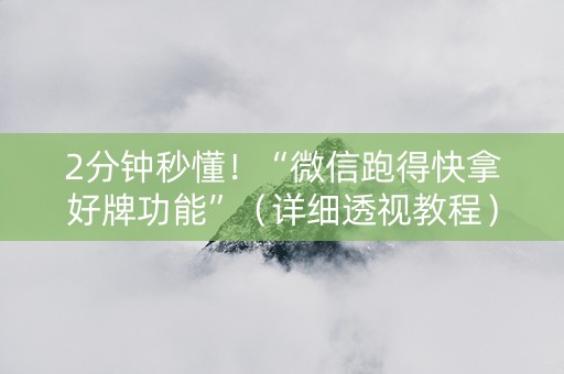 2分钟秒懂！“微信跑得快拿好牌功能”（详细透视教程）-哔哩哔哩