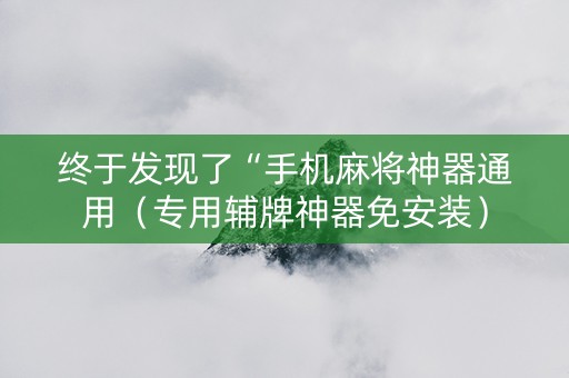 终于发现了“手机麻将神器通用（专用辅牌神器免安装）