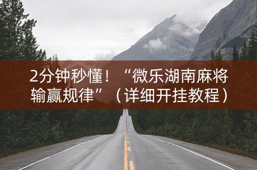 2分钟秒懂！“微乐湖南麻将输赢规律”（详细开挂教程）-哔哩哔哩