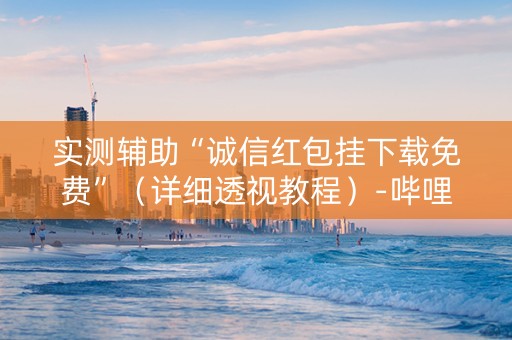 实测辅助“诚信红包挂下载免费”（详细透视教程）-哔哩哔哩