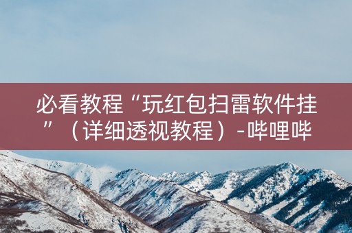 必看教程“玩红包扫雷软件挂”（详细透视教程）-哔哩哔哩
