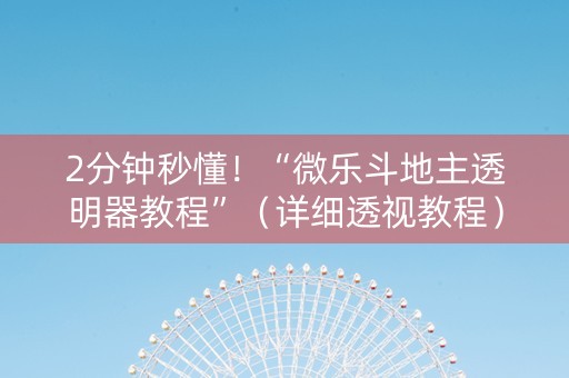 2分钟秒懂！“微乐斗地主透明器教程”（详细透视教程）-哔哩哔哩