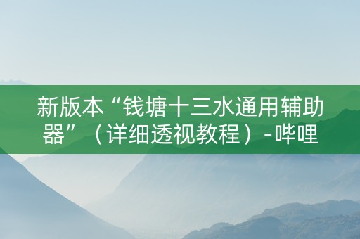 新版本“钱塘十三水通用辅助器”（详细透视教程）-哔哩哔哩