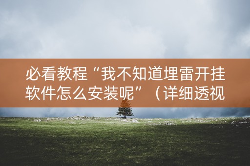 必看教程“我不知道埋雷开挂软件怎么安装呢”（详细透视教程）-哔哩哔哩
