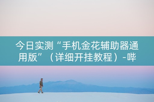 今日实测“手机金花辅助器通用版”（详细开挂教程）-哔哩哔哩