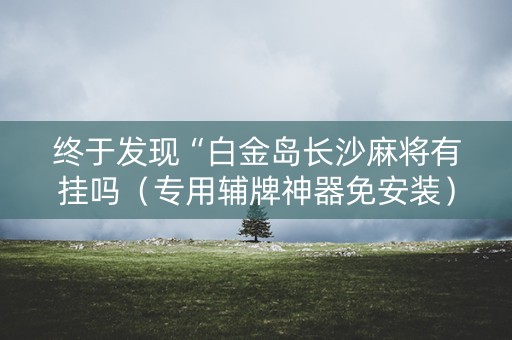 终于发现“白金岛长沙麻将有挂吗（专用辅牌神器免安装）