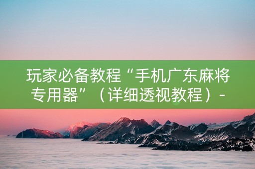 玩家必备教程“手机广东麻将专用器”（详细透视教程）-哔哩哔哩