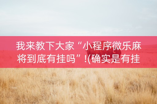 我来教下大家“小程序微乐麻将到底有挂吗”!(确实是有挂)-知乎