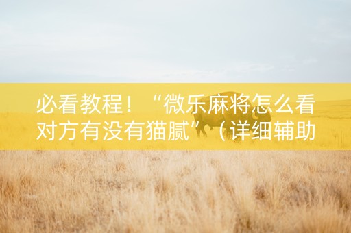 必看教程！“微乐麻将怎么看对方有没有猫腻”（详细辅助教程）-哔哩哔哩