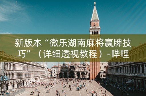 新版本“微乐湖南麻将赢牌技巧”（详细透视教程）-哔哩哔哩